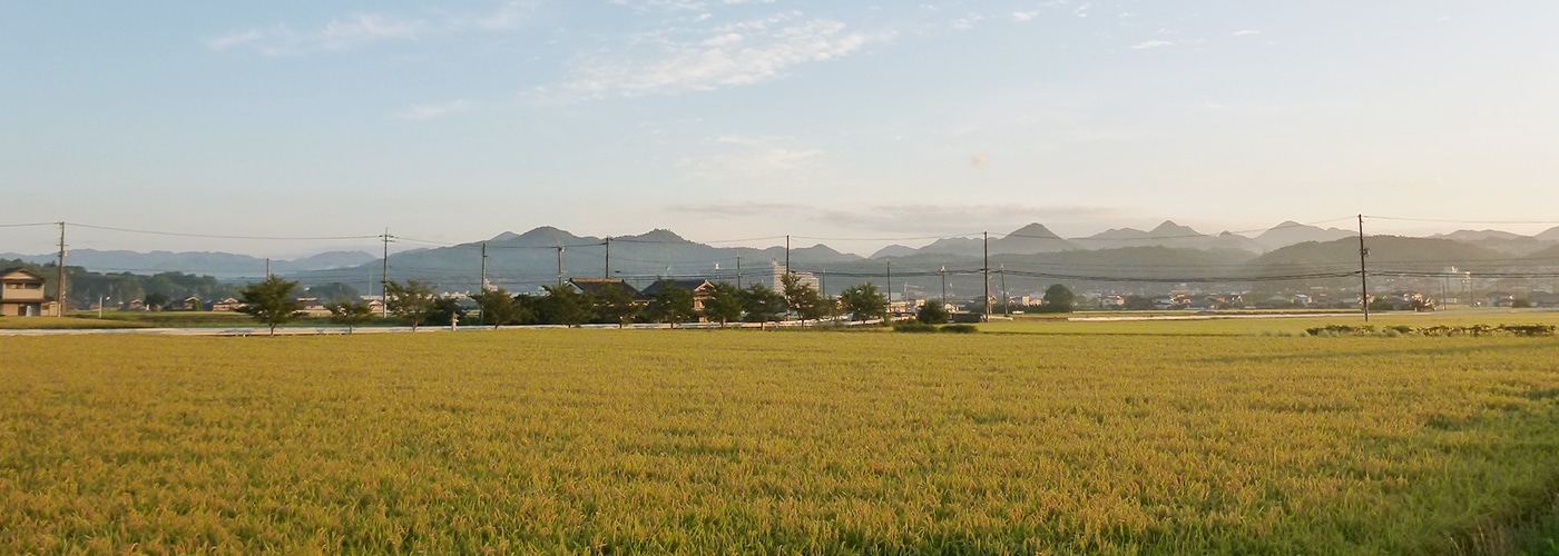 宅配で購入する