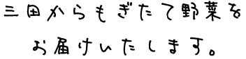 三田からもぎたて野菜をお届けいたします。